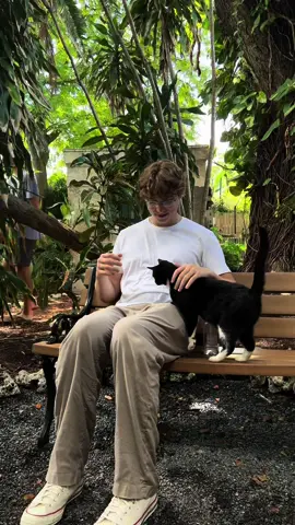 I can’t believe we found him again 🫶🥲