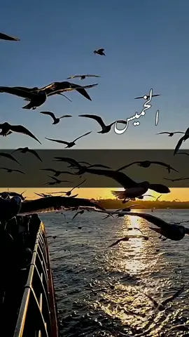 اللهم افتح لنا ابواب البركه