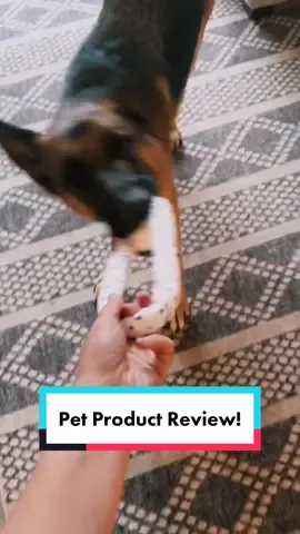 TikTok Shop pet product review 🎾 What other products should we put to the test?! #acethedog #germanshepherd #dogsoftiktok #dogtok #fofos #petproducts #dogtoys #productreview #tiktokmademebuyit #fypシ 