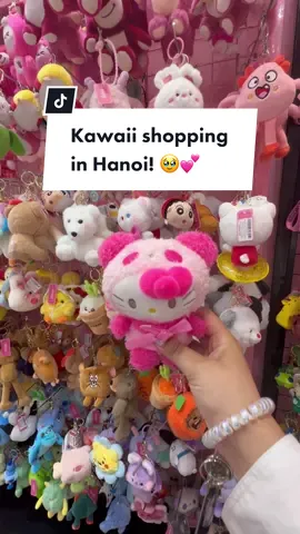 Check out this adorable store we shopped at in Hanoi! Soooo cute & perfect for souvenirs! 🩷🤩✨ they also have locations in Ho Chi Minh City 🫶🏼 #vietnam #hanoi #kawaii #hellokitty #sanrio #travel #traveltiktok #traveltok #travelbucketlist #moji #gift #giftideas 