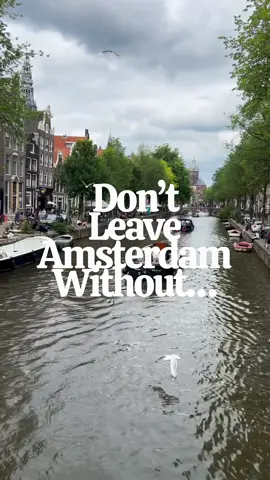 #amsterdamtravel #amsterdamguide #thingstodoamsterdam 