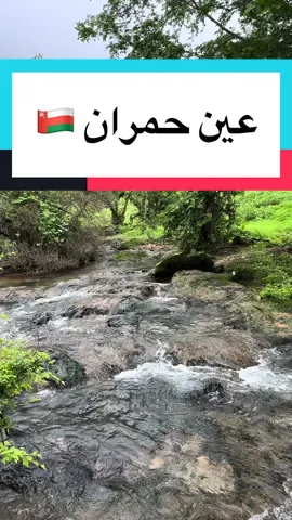 #دليل_الباحة_السياحي #explore #فواز_الزهراني #اكسبلورر #ترند #fypシ #عمان #سلطنة_عمان #صلالة #ظفار #سياحة 