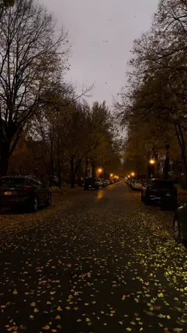 Soooo ready for my neighborhood to look like this again 🍂☕️ #fyp #fall #fallaestheic #autumn #september #october #november #gilmoregirls #halloween #upstateny #newyork #fallvibes 