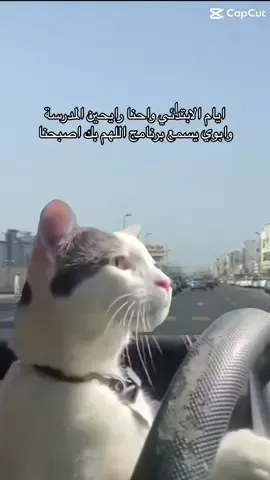 #explore  الإبتدائي**