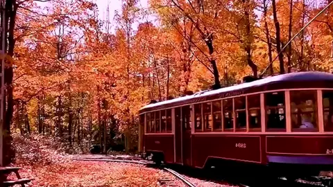 Mùa thu ở Melbourne #khoâmnhạcgiảitrí #khoâmnhạctoàncầu #nhạchaytoàncầu #khoâmnhạcquốctế #bộsưutậpâmnhạc #nhạchaychọnlọc #âmnhạctoàncầu #âmnhạcquốctế #âmnhạcchọnlọc 