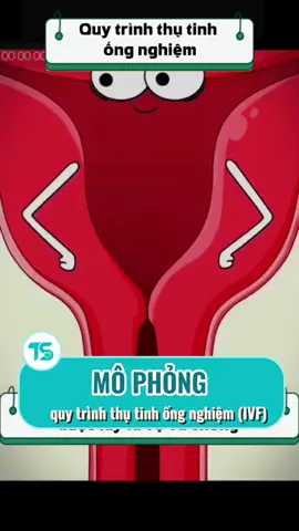 🔥HOT: Phương pháp hỗ trợ mang thai hiện đại nhất hiện nay.  #bacsithanhson #drts #VSHM #hiemmuon #suckhoe #IVF #thutinhtrongongnghiem #chuyenphoi #mongcon #LearnOnTikTok ##CapCut 