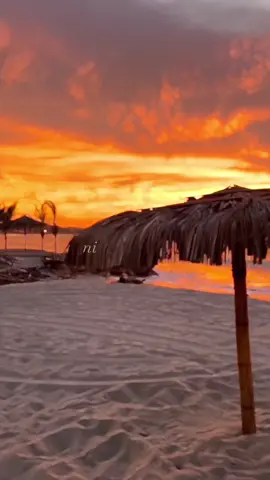 @Bad Bunny; “cuando no eres prioridad para una persona, no lo eres y punto”. ❤️ #motivetion #frasesmotivadoras #frasesbadbunny #frasesdebadbunny #atardeceres #sunset #atardecer #atardecerenlaplaya #atardeceresperfectos #parati #badbunnypr #paratii #motivacional #benito #amor #amorpropio #benitoofficiel #amorpropio♡ #prioridad #fypシ #badbunny #fyp #yoprimer #xyzbca #lyricsvideo 