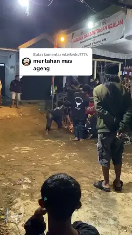 Membalas @wkwkwku777kiki mentahan e bolo#jarananmalangraya #shorts #fyppppppppppppppppppppppp 