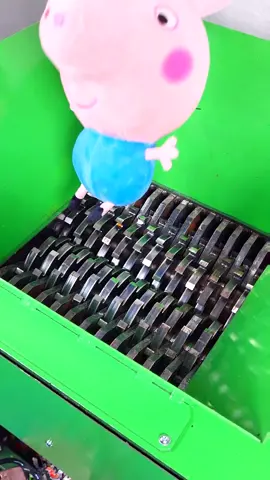 #ASMR #asmrsounds #satisfying #asmrvideo #asmrtiktoks #shreddermachine #oddlysatisfying #peppapig 