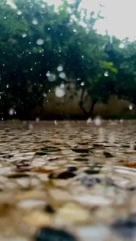 Rainy weather 🌧️ #fyp #tiktok #sawaira030 
