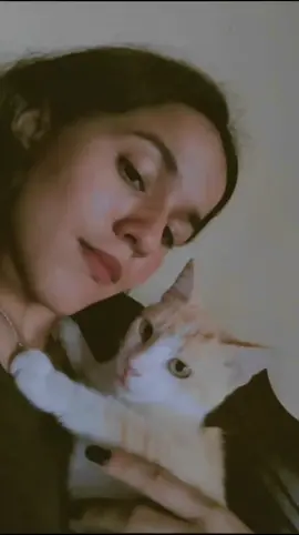 Como no amarlo . . . . . . . #cat #viral #2023 #สปีดสโลว์ #สโลว์สมูท #CapCut 