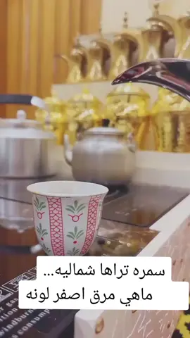 سمرة تراها شمالية#your_coffee #قهوه_عربيه #قهوة_شمالية #السعودية #بدو #fyp #fypシ #viral #explor #اكسبلورexplore #اكسبلور #العراق #شمر #حائل #حايلنا #ثامر_الفاعوري 