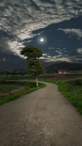 Bu Güzel Manzara Bir Söz Bırak 🙂  #doğavideoları☘️🌿💐🌸 #benionecikart #huzurvericivideolar #huzurvericivideolar #benionecikart #keşfet 