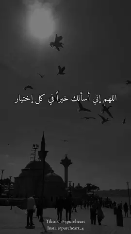 #قلب_صافي #اللهم_لك_الحمد_ولك_الشكر #4pureheart #quran #islam #quran #foryoupage #foryou #fyp 