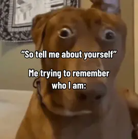 Me in every job interview fr😭😭😂 #memes #relatable #jokes #foryoupage #realdankclips #dankvids #realdankcrops #memestiktok #blowthisup #trending #viralvideo #fypシ #zyxcba #xyzbca #justjokes 