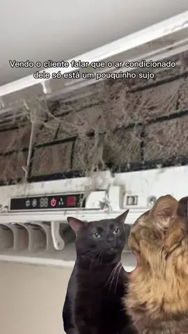 É assim ou não é? 🤣🤣🤣 #arcondicionado #refrigeracao #climatização #meme #fypシ #instalacaoarcondicionado 