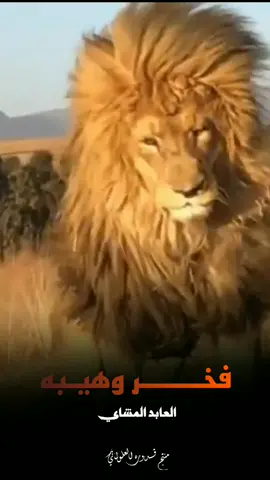 #فخر#وهيبه#العابد #المشاي #مونتاج_قدوره🎬💎 ##fyp #foryourpage #tik_tok #tiktok #libya #ليبيا #الشعب_الصيني_ماله_حل😂😂 