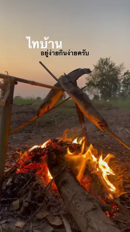 คนไทบ้าน คนบ้านๆครับ #เพลงลงสตอรี่ #ไทบ้าน #ประโยคเด็ด #ความสุข #บ้านนอกของฉัน #เพลงเพราะ 