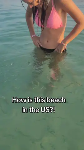 You don't know where to look 😍 #traveltiktok #navarre #dolphin  #navarrebeach #Floridabeaches 