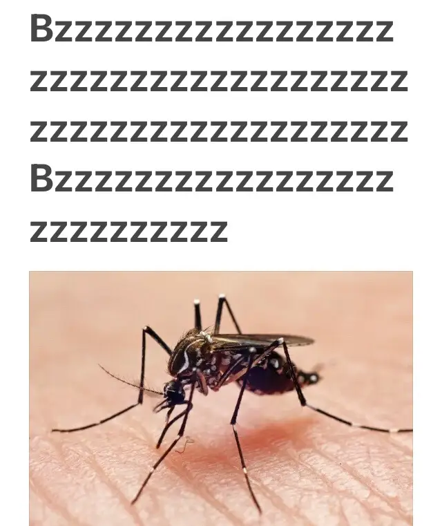 Pendant l’été c’est pas possible  #pourtoi #fyp #moustique #mosquitoes  #viral 