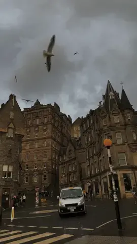 Su lucky to call this place home. #edinburgh #edinburghscotland #hpedit #harrypotter #edinburghtiktok #edinburghtiktokers #edinburghcreator 