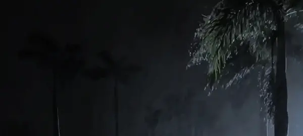 بعض العواصف تزيدك ثبات . وان هزت رياح اليأس مركبنا فحسن الظن بالله ينجينا🖤🤍#❀ 