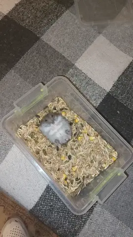 #вглобальныерекомендации 