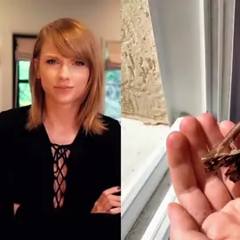 #taylorswift #73questions 