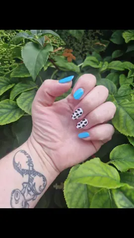 Love these 🐄💙 #beauty#beautysalon#wincanton#somerset#nails#opi#thegelbottle#gel#polish#nail#Love#beautysalonsomerset#gel#polish#in#Love#with#these#viralnails#fyp#tiktok#foryoupage 