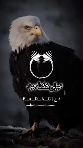 أني بس عالقة في راسي ولا كلكم 😂 #هضا_جوك_انت #صوتية_جديدة #تصميم_فيديوهات🎶🎤🎬 #ليبيا🇱🇾 #طرابلس #بنغازي #طوبا #اكسبلورexplore  @فرج | 𝐅_𝐀_𝐑_𝐀_𝐆 