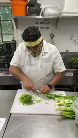 Best knife ever #knifeskills #chefswords #chef #fyp #viral #knife #chopping #scallions 