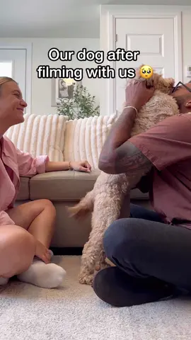 A lot of people might think that filming your dog all the time can be a traumatic experience for them... and you're RIGHT - if not done properly. It is important to consider your dogs well-being and ensure they are relaxed and comfortable while being filmed. Understand their boundaries and pay attention to what makes them tick. We try our best to make every experience for Luna an enjoyable one and here's an example of what it's like after we film 🥺❤️ #dogsofttiktok #puppylove #lunatheminicockapoo 