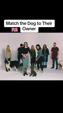 #fyp #foryou #foryourpage #cut #match #guess #dogs 