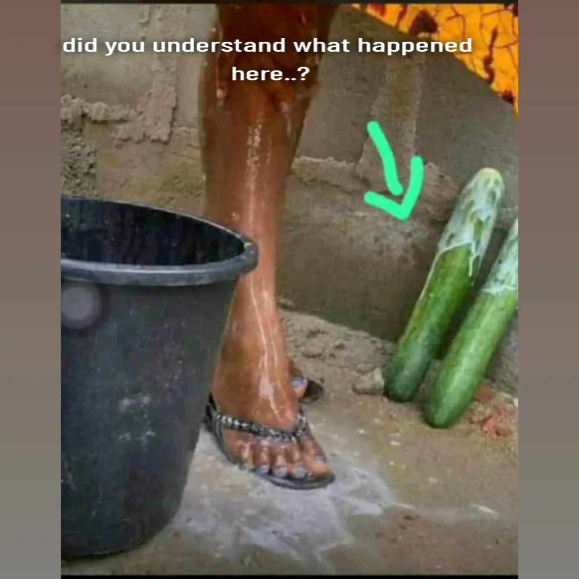 did you understand what happened here...?#LearnOnTikTok #duet #capcut #tiktok #