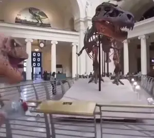 poor dinosaur #meme #dinosaur #museum 