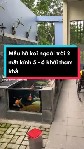 Mẫu hồ koi ngoài trời 2 mặt kính 5 - 6 khối tham khảo #fromtiktok #LearnOnTikTok #hocakoi #hocakoidep #chamsochocakoi #arikoi #cakoidalat #mauhocakoi 