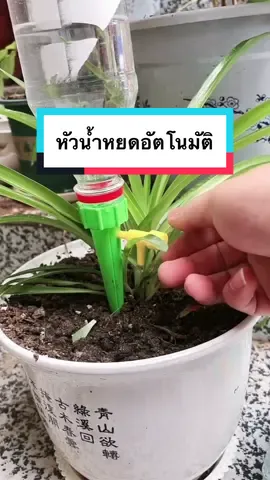 หัวหยดน้ำอัตโนมัติ สำหรับรดน้ำอัตโนมัติ ##ครีเอเตอร์tiktok##น้ําหยด##หัวหยดน้ํา##หัวหยดน้ํารดต้นไม้อัตโนมัติ##หัวหยดน้ําขวด##หัวหยดน้ําแบบขวด##หัวหยดน้ําอัตโนมัติ