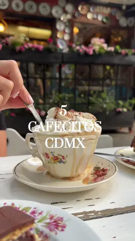 Cual otro me recomiendan?