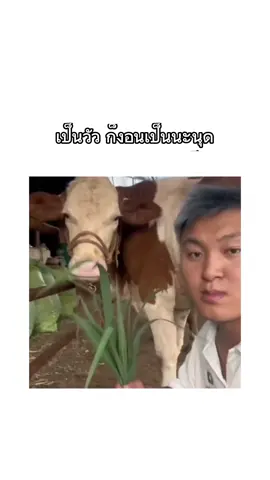 น้อยใจเป็นนะ  #fyp #ขึ้นฟีดเถอะ #สัตว์โลกน่ารัก #psn2727 #มีม #มีมตลก #คลิปตลก #สวนสัตว์tiktok 