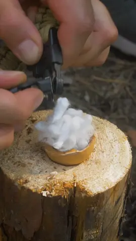 Орех можно использовать и для этого #лайфхаки #загородом  #кемпинг #выживание #туризм #asmr 