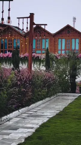 #صلو_على_رسول_الله_صل_الله_عليه_وسلم 