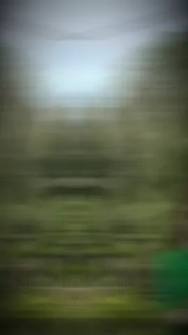 Anh chịu em đi 🤣#NgocHan #bao #2006❤️ #xuhuong #xuhuong🐰 #68kiêngiang🇻🇳 