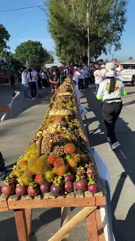 #TIMPUPO2023#fruits#eatallucan#floatparade#kidapawan city fruit festival 