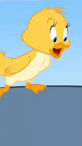 @عمار الخضوري 