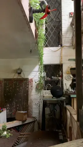 cute place in town 