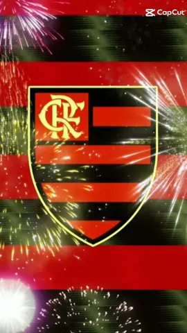 #umavezflamengosempreflamengo #aquieflamengo #flamenguista #souflamengo #naçãorubronegra🔴⚫ #mengao🔴⚫ #flamengo #familiaflamenguista #viraltiktokvideo #sucessonotiktok 