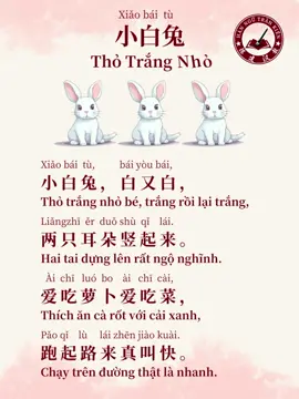 BÀI HÁT “THỎ TRẮNG NHỎ” - Một trong những bài hát thiếu nhi phổ biến nhất Trung Quốc, hầu hết các bé nhỏ đều được ba mẹ dạy hát “Thỏ trắng nhỏ”#HanNguTranKien#HoctiengTrungcungthayTranKien#tiengtrungcungnguoibanxu#Caulacbotiengtrung#baihatthotrangnho