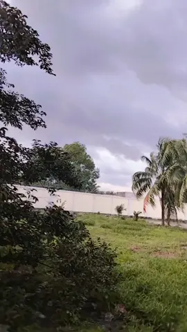 Cảnh chiều thật yên tĩnh 😊#70tayninh#xuhuong #chieusanganhsuoiamem 