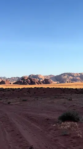 حرك الاقدام دامهن متعافيات 😴.  #الطبيعه_اجمل_شي_للراحه_النفسيه #سجات #مكشات #الصيد #الطبيعه #البر #تبوك #حقل 