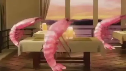 #shrimp #animal #memes #dancing #otaku #fyp #parati 